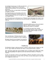 Dromedar-Steckbrief-Seite-2.pdf